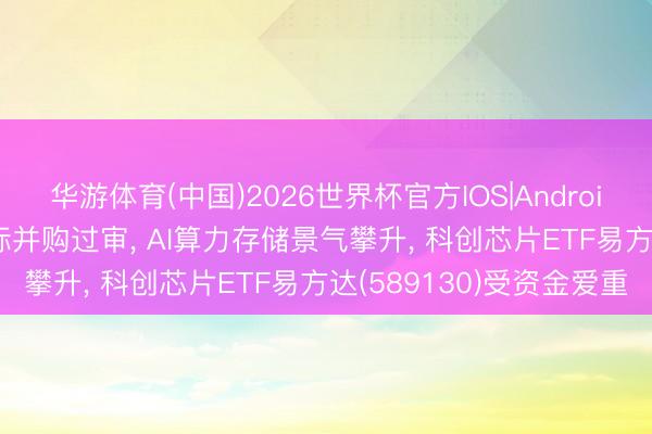 华游体育(中国)2026世界杯官方IOS|Android手机app下载 中芯国际并购过审, AI算力存储景气攀升, 科创芯片ETF易方达(589130)受资金爱重