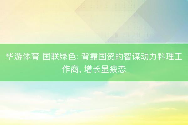 华游体育 国联绿色: 背靠国资的智谋动力料理工作商， 增长显疲态