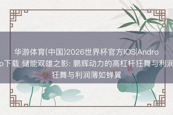 华游体育(中国)2026世界杯官方IOS|Android手机app下载 储能双雄之影: 鹏辉动力的高杠杆狂舞与利润薄如蝉翼