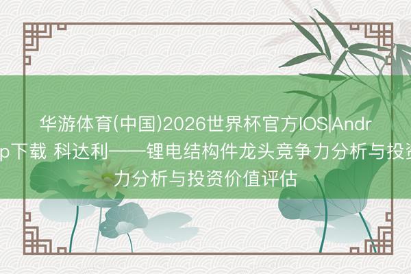 华游体育(中国)2026世界杯官方IOS|Android手机app下载 科达利——锂电结构件龙头竞争力分析与投资价值评估