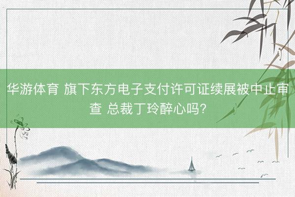 华游体育 旗下东方电子支付许可证续展被中止审查 总裁丁玲醉心吗?