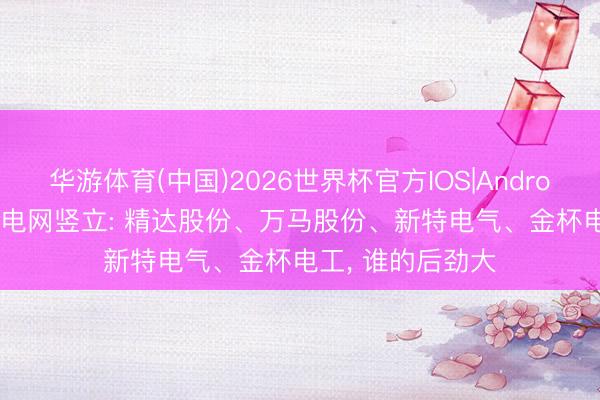 华游体育(中国)2026世界杯官方IOS|Android手机app下载 电网竖立: 精达股份、万马股份、新特电气、金杯电工, 谁的后劲大