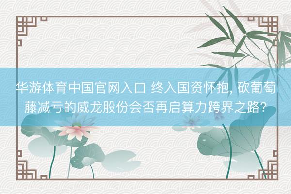 华游体育中国官网入口 终入国资怀抱, 砍葡萄藤减亏的威龙股份会否再启算力跨界之路?