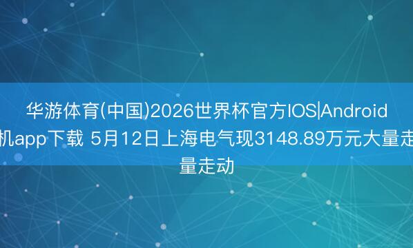 华游体育(中国)2026世界杯官方IOS|Android手机app下载 5月12日上海电气现3148.89万元大量走动