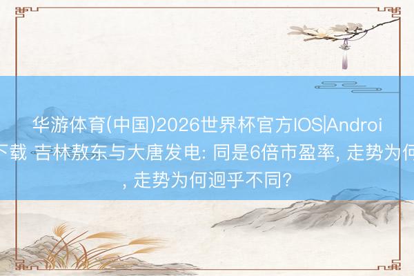 华游体育(中国)2026世界杯官方IOS|Android手机app下载 吉林敖东与大唐发电: 同是6倍市盈率, 走势为何迥乎不同?