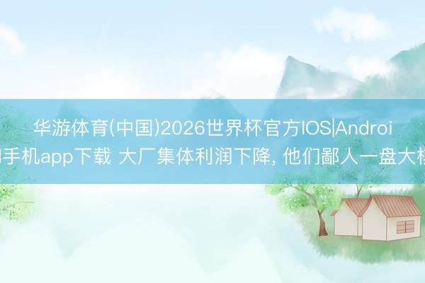 华游体育(中国)2026世界杯官方IOS|Android手机app下载 大厂集体利润下降, 他们鄙人一盘大棋