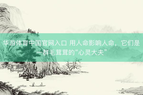 华游体育中国官网入口 用人命影响人命,它们是一群毛茸茸的“心灵大夫”
