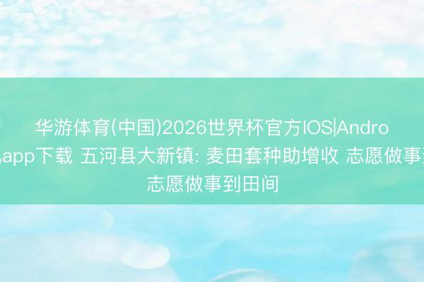 华游体育(中国)2026世界杯官方IOS|Android手机app下载 五河县大新镇: 麦田套种助增收 志愿做事到田间