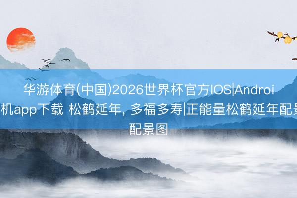 华游体育(中国)2026世界杯官方IOS|Android手机app下载 松鹤延年，<a href=