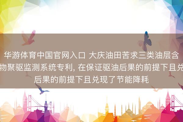华游体育中国官网入口 大庆油田苦求三类油层含水回升期团聚物聚驱监测系统专利, 在保证驱油后果的前提下且兑现了节能降耗
