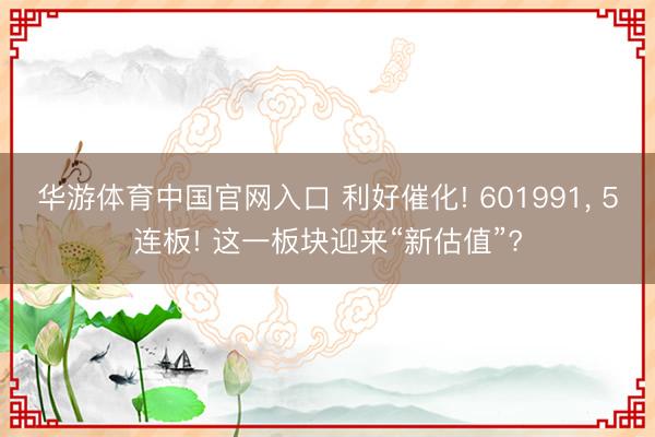 华游体育中国官网入口 利好催化! 601991, 5连板! 这一板块迎来“新估值”?