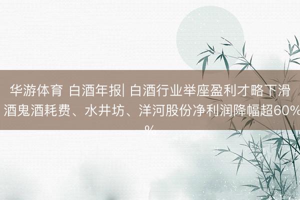 华游体育 白酒年报| 白酒行业举座盈利才略下滑 酒鬼酒耗费、水井坊、洋河股份净利润降幅超60%