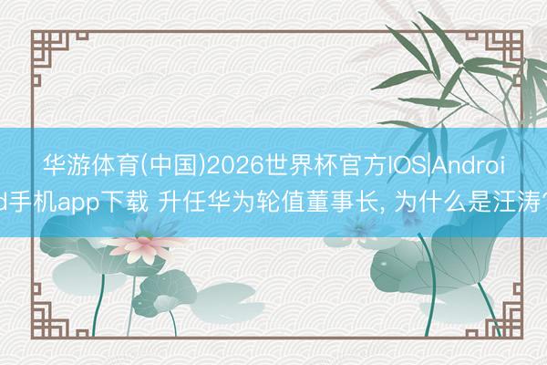 华游体育(中国)2026世界杯官方IOS|Android手机app下载 升任华为轮值董事长, 为什么是汪涛?