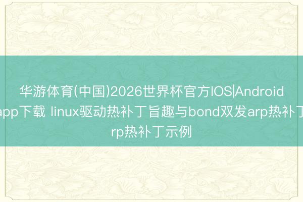 华游体育(中国)2026世界杯官方IOS|Android手机app下载 linux驱动热补丁旨趣与bond双发arp热补丁示例