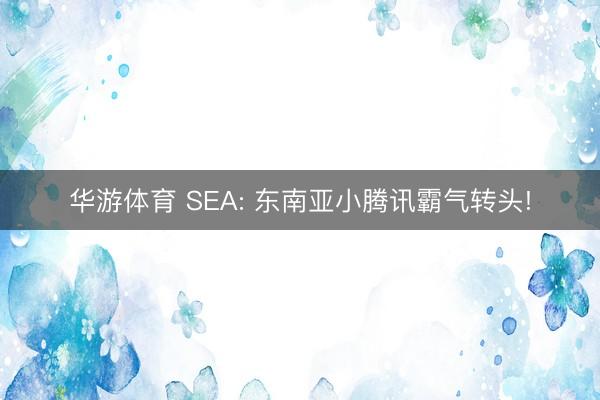 华游体育 SEA: 东南亚小腾讯霸气转头!