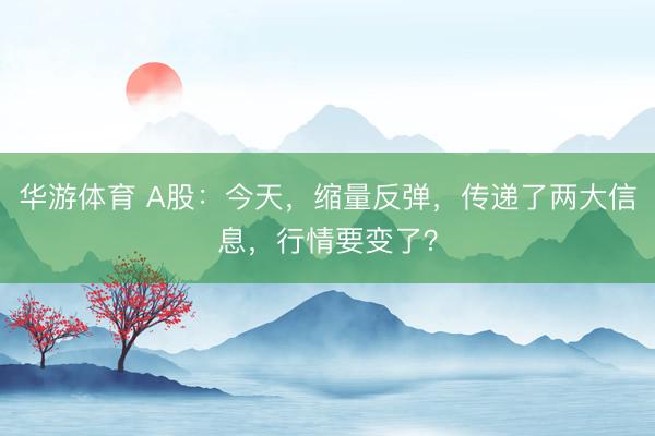 华游体育 A股：今天，缩量反弹，传递了两大信息，行情要变了？