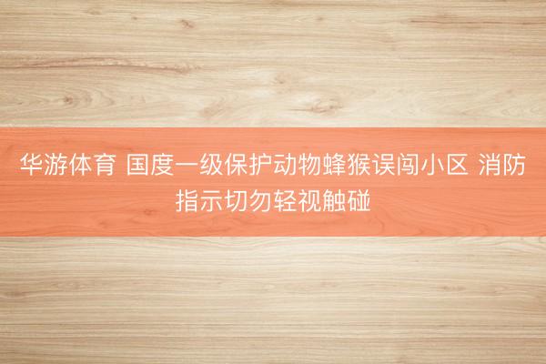 华游体育 国度一级保护动物蜂猴误闯小区 消防指示切勿轻视触碰