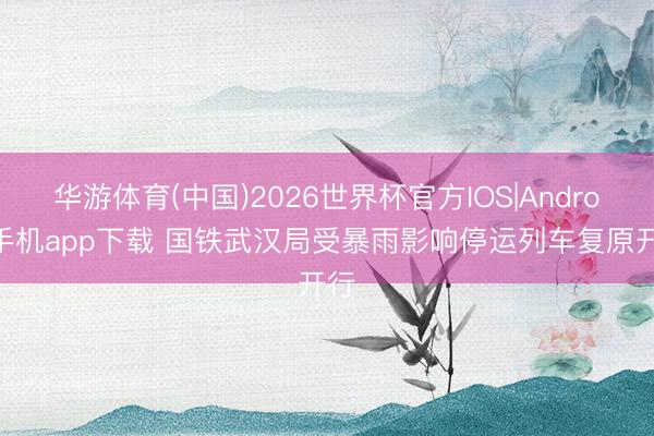 华游体育(中国)2026世界杯官方IOS|Android手机app下载 国铁武汉局受暴雨影响停运列车复原开行