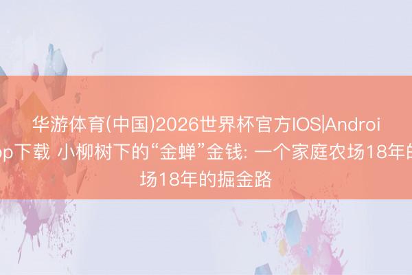 华游体育(中国)2026世界杯官方IOS|Android手机app下载 小柳树下的“金蝉”金钱: 一个家庭农场18年的掘金路