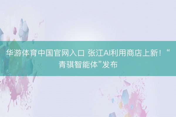 华游体育中国官网入口 张江AI利用商店上新！“青骐智能体”发布