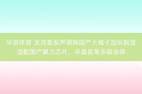 华游体育 发改委发声调换国产大模子加纵脱度适配国产算力芯片,华盛昌等多股涨停