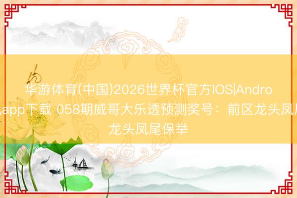华游体育(中国)2026世界杯官方IOS|Android手机app下载 058期威哥大乐透预测奖号：前区龙头凤尾保举