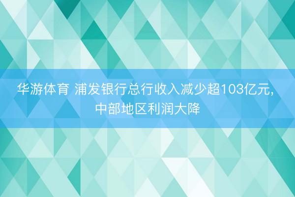 华游体育 浦发银行总行收入减少超103亿元, 中部地区利润大降