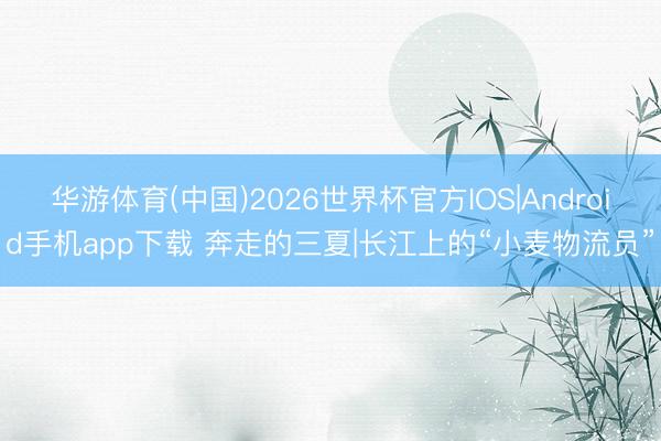华游体育(中国)2026世界杯官方IOS|Android手机app下载 奔走的三夏|长江上的“小麦物流员”