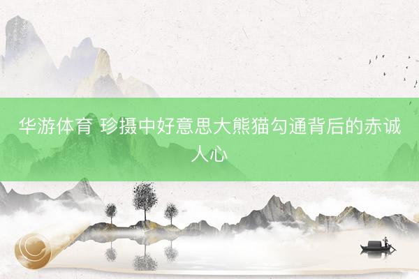 华游体育 珍摄中好意思大熊猫勾通背后的赤诚人心
