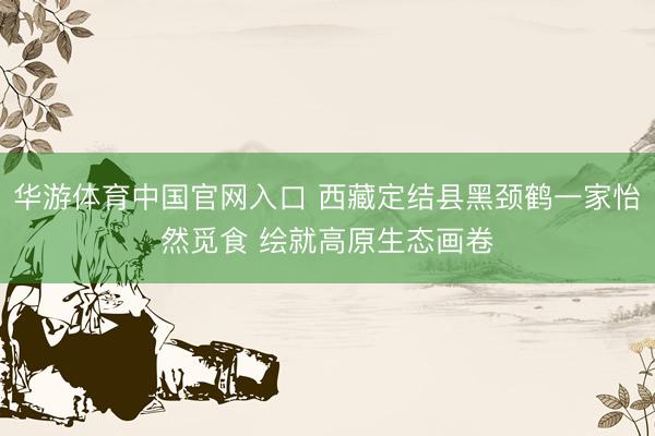 华游体育中国官网入口 西藏定结县黑颈鹤一家怡然觅食 绘就高原生态画卷